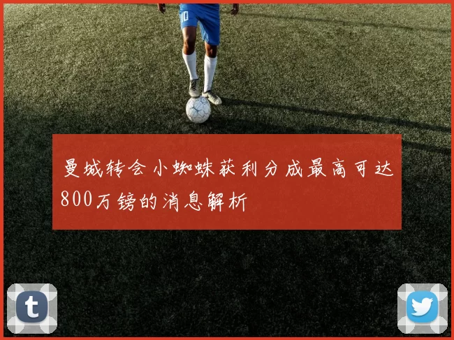 曼城转会小蜘蛛获利分成最高可达800万镑的消息解析