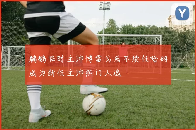 鹈鹕临时主帅博雷戈或不续任哈姆成为新任主帅热门人选